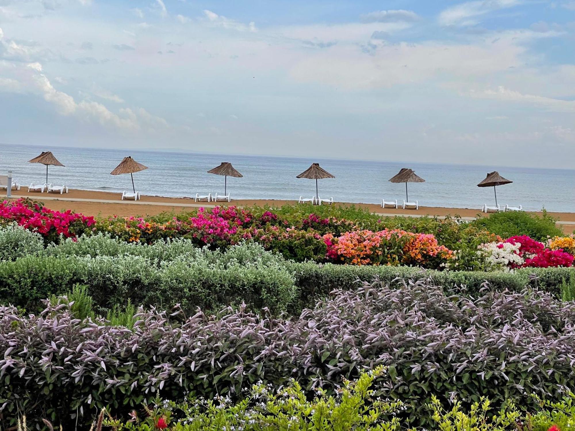 Sweetness Apartment By The Sea Vokolidha Exterior foto